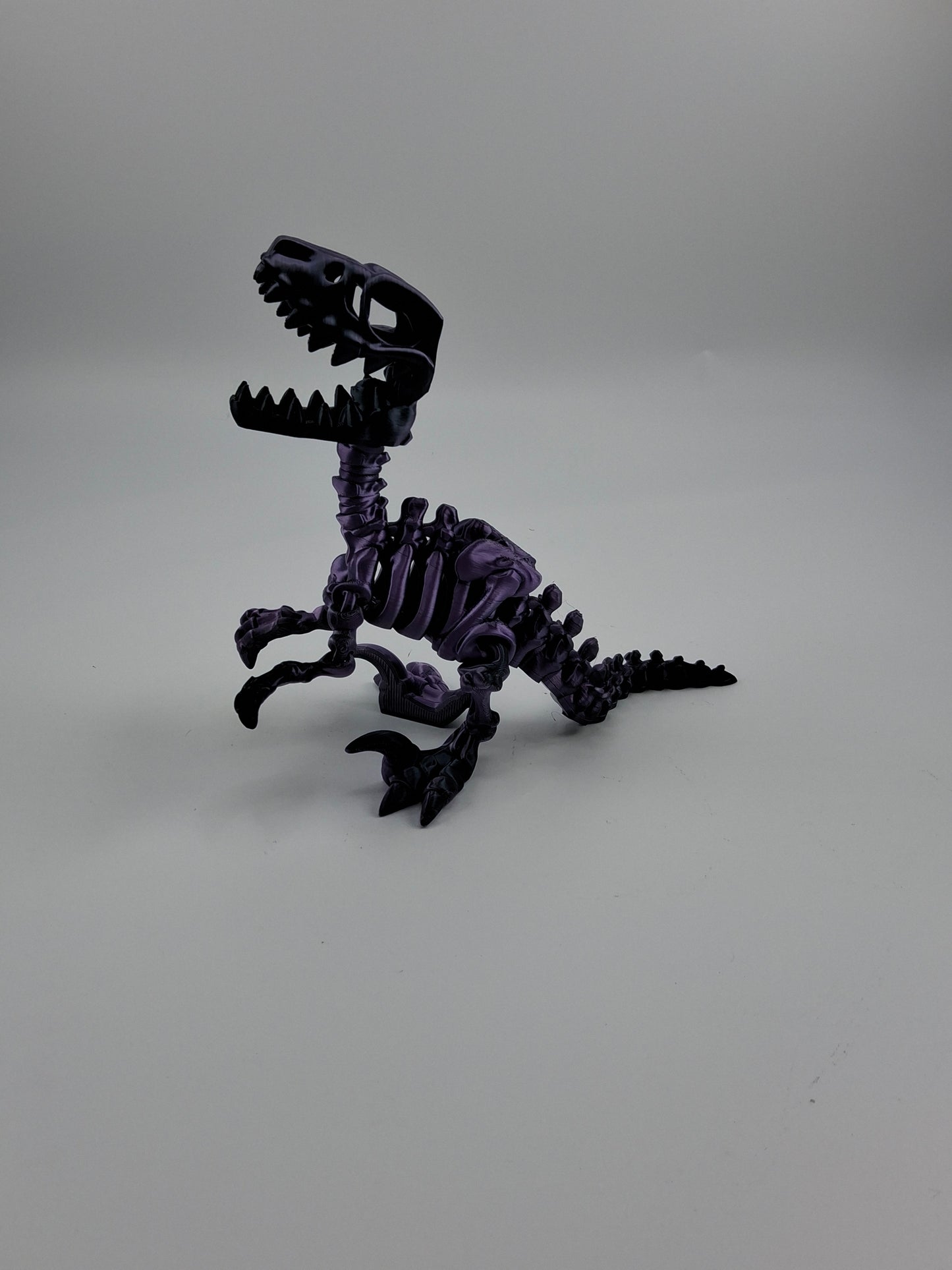 Flexiskeleton Velociraptor