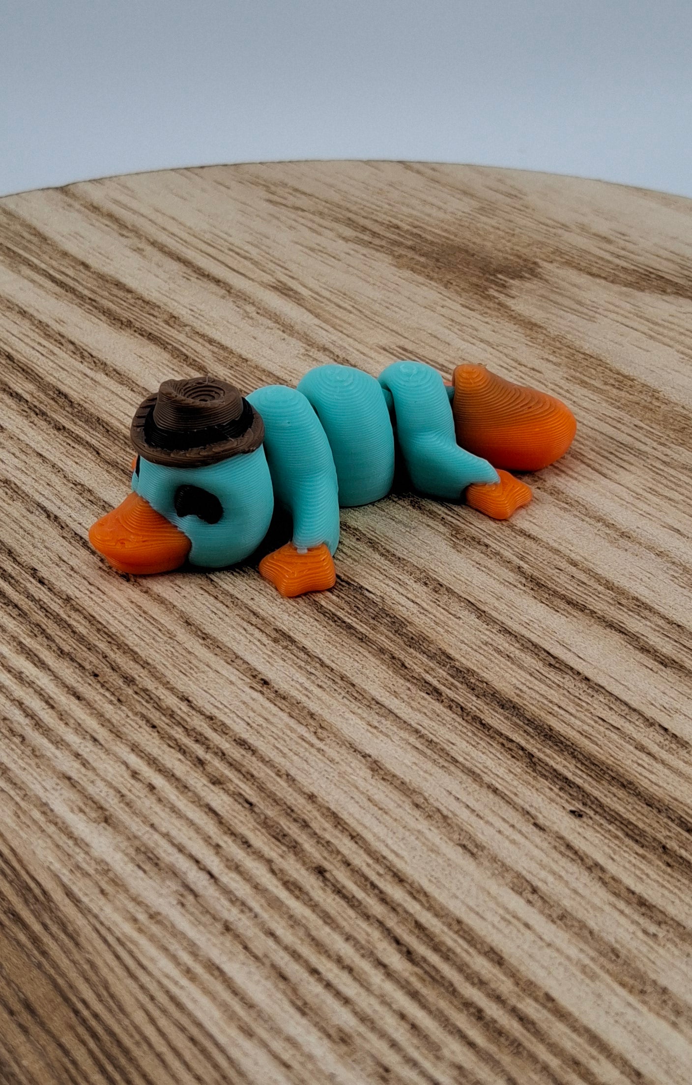 Pocket Pal